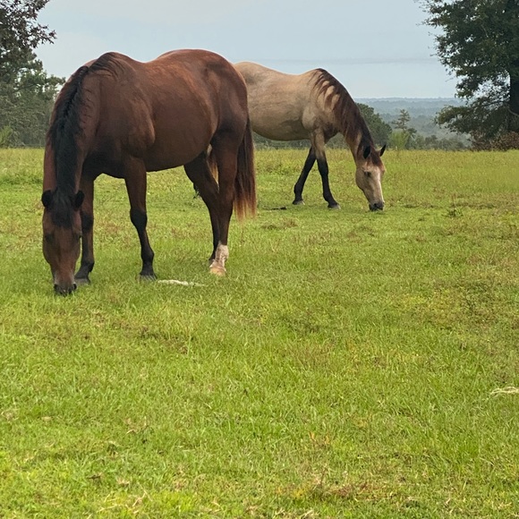 Meet your Posher, Ren?e - Picture 10 of 11